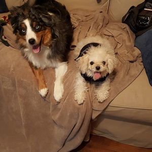 Meet your Posher, Fallon